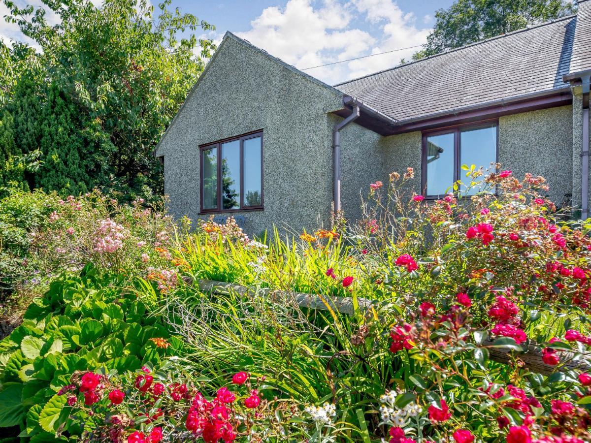 Villa Llety Nest Llanfachreth Exterior foto